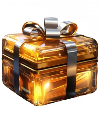 Gift Box VIP Experience Gift Box VIP Experience